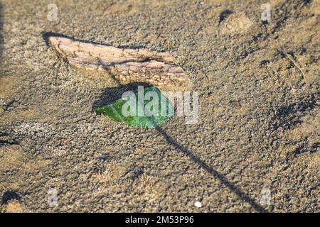 Morceau de verre vert et de bois sur le sable vu de près Banque D'Images