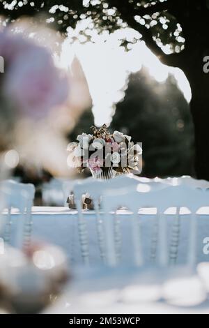 Chaises blanches disposées dans le jardin pendant le mariage tables décorées avec soin à l'extérieur Banque D'Images