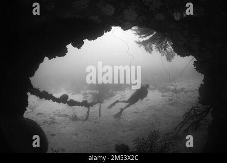 Une échelle de gris d'un plongeur de plongée dans une combinaison capturée nageant loin d'une grotte sous-marine Banque D'Images