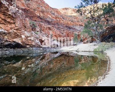 Trou de natation, gorge d'Ormiston, parc national de West Macdonnell (Tjoritja), territoire du Nord, Australie Banque D'Images