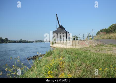 Grue historique de chargement de vin construite en 1745 et point de repère sur les rives du Rhin, bâtiment, zone viticole, grue, Oeslich, Oestruch-Winkel Banque D'Images