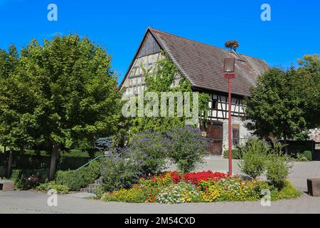 Place sur la route principale avec lit de fleurs, fleurs, marigold (Calendula officinalis), buisson bleu de pomme de terre (Solanum rantonnetii), arbuste bleu de pomme de terre Banque D'Images