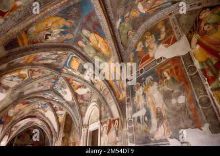 Fresques dans le cloître, cathédrale de l'Assomption de Marie et de Sainte Cassien, Cathédrale de Bressanone, Bressanone, Tyrol du Sud, Trentin, Italie Banque D'Images