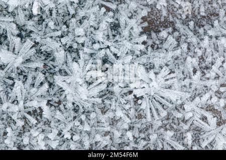 Cristaux de givre formés sur le sol - Macro. B. C., Canada. Banque D'Images