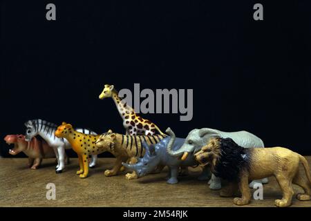 Groupe de jouets animaux de la jungle isolés sur fond noir. Jouets en plastique pour animaux. Protection de l'animal. Jouet pour enfants. Banque D'Images