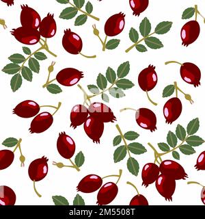 Motif sans couture avec baies de hanche isolées colorées sur fond blanc. Baies, branches et feuilles de rose pour chiens mignons. Banque D'Images