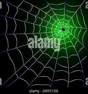 Spider web avec spider sur fond noirvert design ; vector illustration Illustration de Vecteur