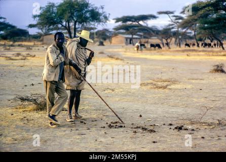 Éthiopie, 1970s ans, village d'Adami Tulu, deux hommes avec des bâtons, après le coucher du soleil, région d'Oromia, Afrique de l'est, Banque D'Images