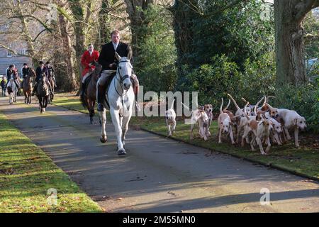Stourbridge, Royaume-Uni. 26th décembre 2022. Les membres de la chasse aux bois d'Albrighton se réunissent à Hagley Hall près de Stourbidge dans les West Midlands pour la chasse traditionnelle du lendemain de Noël. La chasse traditionnelle est une foule record qui se réunit pour observer les foules et les cavaliers à cheval se délasser sur des chasses de sentiers dans la campagne voisine. Crédit : Ian Tennant/Alay Live News Banque D'Images