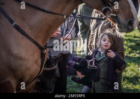 Crowcombe, Somerset, Royaume-Uni. 26th décembre 2022. Quantock Staghounds la chasse du lendemain de Noël se réunit. Les chasseurs de chiens de chasse se rassemblent dans la ville de Crowcombe pour préparer une chasse traditionnelle le lendemain de Noël à la chasse au cerf rouge à cheval avec un lot de 10 liasses maximum. La chasse au cerf sur les collines de Quantock a une histoire de 500 ans, bien que les Quantock Staghounds aient été formés pour la première fois en 1902 par M. E V Stanley de Quantock Lodge. Credit: Guy Corbishley/Alamy Live News Banque D'Images