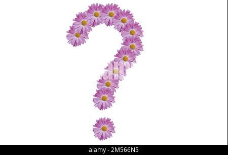 Signe de point d'interrogation en fleur rose, isolé sur fond blanc. Typographie des fleurs. Elément de conception. Banque D'Images
