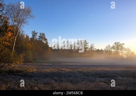 Morgenstimmung im Vogelmoos Banque D'Images