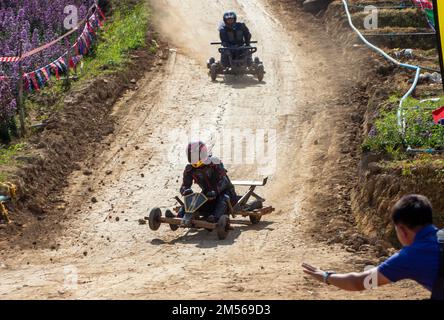 Les hommes de la tribu Hmong Hill conduisent la formule hmong (la charrette en bois qui fait la course au mode de vie des peuples autochtones du nord de la Thaïlande.) Pendant les célébrations du nouvel an de Hmong. En décembre ou janvier, les Hmong célèbrent leur nouvelle année, appelée Noj PEB Caug (prononcé ou PE Chao). Une plus grande célébration publique a lieu dans un lieu en plein air, il y a de nombreuses activités pendant cet événement, comme des jeux de spinning, des concours de tir de flèche, le chant et la danse, et des jeux de tribunal. Les jeunes hommes et les jeunes femmes portent des interprétations colorées des vêtements traditionnels, dans l'espoir d'attirer un partenaire de vie. Visiteurs a Banque D'Images