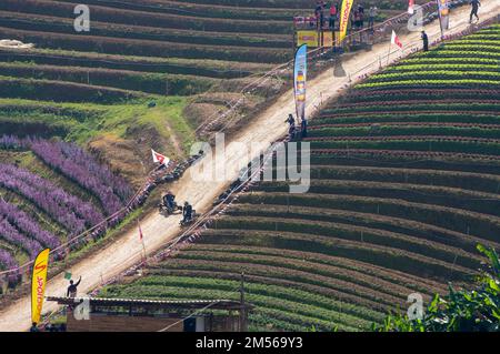 Les hommes de la tribu Hmong Hill conduisent la formule hmong (la charrette en bois qui fait la course au mode de vie des peuples autochtones du nord de la Thaïlande.) Pendant les célébrations du nouvel an de Hmong. En décembre ou janvier, les Hmong célèbrent leur nouvelle année, appelée Noj PEB Caug (prononcé ou PE Chao). Une plus grande célébration publique a lieu dans un lieu en plein air, il y a de nombreuses activités pendant cet événement, comme des jeux de spinning, des concours de tir de flèche, le chant et la danse, et des jeux de tribunal. Les jeunes hommes et les jeunes femmes portent des interprétations colorées des vêtements traditionnels, dans l'espoir d'attirer un partenaire de vie. Visiteurs a Banque D'Images