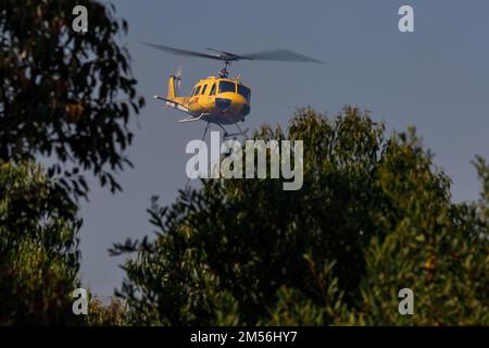 Un hélicoptère de lutte contre les incendies de huey au-dessus d'arbres verts Banque D'Images