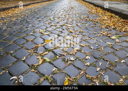 pavés en pierre polie avec des feuilles mortes jaunes Banque D'Images