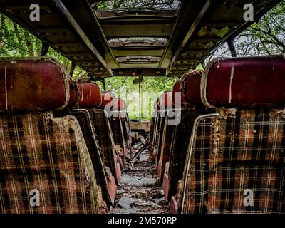 Les sièges abandonnés sur un bus rouillé dans une forêt Banque D'Images