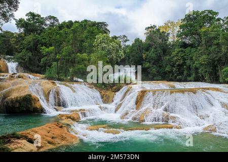 Les chutes d'Agua Azul au Chiapas, Mexique Banque D'Images