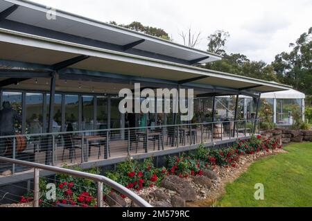 Cave à Balgownie Estate, Yarra Valley, Victoria, Australie Banque D'Images