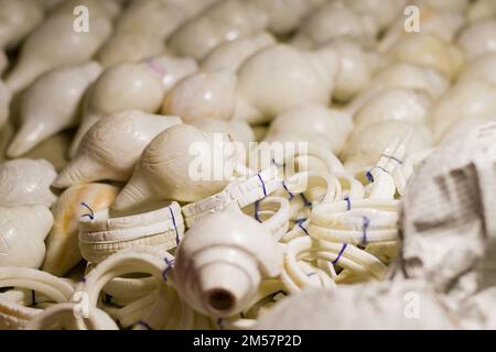 shankha ou bracelets blancs faits de coquillages de conques étant vendus près de la plage de mer de digha. Ces bracelets sont une tenue traditionnelle pour les femmes bengalis mariées. Banque D'Images