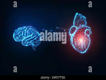 Cerveau et cœur d'organes humains à faible connexion polygonale futuriste sur fond bleu foncé. Emotions et intellect équilibre et harmonie concept. M Illustration de Vecteur