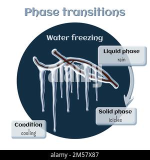 Changements d'état. Partie 5 de 6. Gel à l'eau - glaçons sur les branches des arbres. Transition de phase de l'état liquide à l'état solide. Infographies pédagogiques. Chariot Illustration de Vecteur