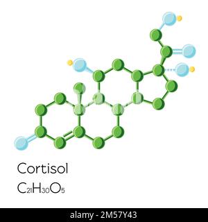 Formule chimique structurale d'hormone de cortisol isolée sur fond blanc. Illustration vectorielle de dessin animé de style plat. Illustration de Vecteur