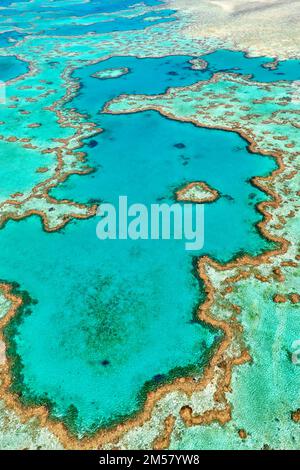 Vue aérienne de Heart Reef, une formation corallienne naturelle située dans la Grande barrière de corail, en Australie Banque D'Images