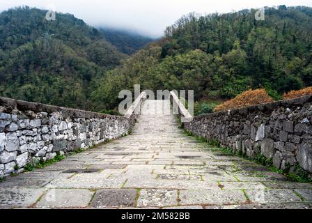 Pont du diable ou 'Ponte della Maddalena' traversant la rivière Serchio près de la ville Borgo a Mozzano, province de Lucca, centre de l'Italie. 11th siècle. Banque D'Images