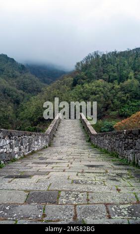 Pont du diable ou 'Ponte della Maddalena' traversant la rivière Serchio près de la ville Borgo a Mozzano, province de Lucca, centre de l'Italie. 11th siècle. Banque D'Images