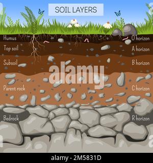 Diagramme des couches de sol avec herbe, texture de la terre, pierres, racines de plantes, espèces souterraines. Géologie infographics, éducation pour les enfants. Vecto de style dessin animé Illustration de Vecteur