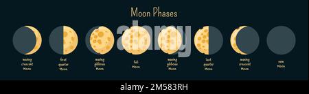 Infographies des phases lunaires. Lune de fromage. Illustration vectorielle de style dessin animé. Illustration de Vecteur