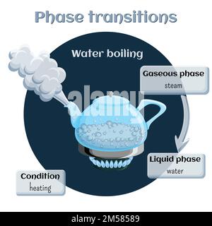 Changements d'état. Partie 2 de 6. Évaporation - eau bouillante. Transition de phase de l'état liquide à l'état gazeux. Infographies pédagogiques. Vecteur de dessin animé i Illustration de Vecteur