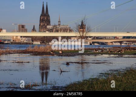 Cologne, Allemagne. 27th décembre 2022. La cathédrale se reflète dans l'eau des prairies inondées sur les rives du Rhin. Une vague d'inondation a submergé des parties de la promenade du Rhin à Cologne. Les niveaux d'eau restent bien en dessous des valeurs auxquelles il y aurait un danger pour les zones habitées ou des restrictions pour le transport maritime.(à dpa/lnw: 'Petite vague d'inondation met les banques du Rhin sous l'eau') Credit: Oliver Berg/dpa/Alay Live News Banque D'Images