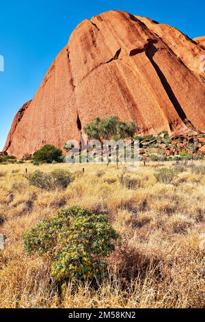 Randonnée dans Uluru Ayers Rock. Territoire du Nord. Australie Banque D'Images