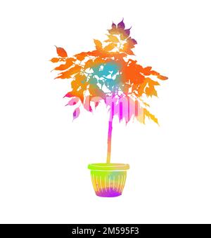 Arbre coloré dans un pot. Illustration vectorielle Illustration de Vecteur