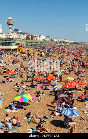 Angleterre, East Sussex, Brighton, Brighton Beach *** Légende locale *** Royaume-Uni,Grande-Bretagne,Grande-Bretagne,Angleterre,Anglais,Britannique,East Sussex,Brig Banque D'Images