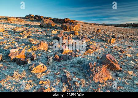 Der versteinerte Wald von Jaramillo in Patagonien, Argentinien. Banque D'Images