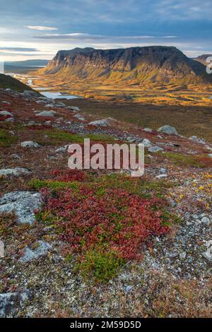 Parc national de Rapalien im Sarek à Schweden. Banque D'Images