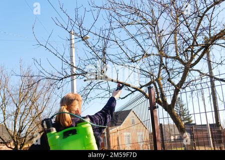 pesti de fumigation, lutte antiparasitaire. Défoquer la femme paysanne pulvérisant l'arbre avec un pulvérisateur manuel de pesticides contre les insectes dans le jardin de printemps. Agriculture et gar Banque D'Images