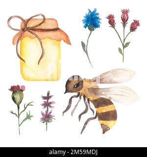 Abeille aquarelle et miel ensemble, illustration de fleurs sauvages, fleurs de champ, clipart d'insecte dessiné à la main. Banque D'Images