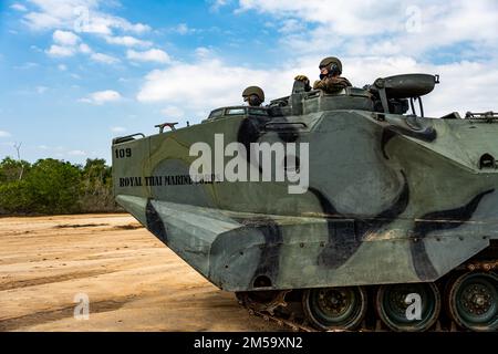U-Tapao, Royaume de Thaïlande – Royal Thai et États-Unis Marines exploite un véhicule d'assaut amphibie AAV7A1 RAM/RS du Royal Thai Marine corps lors d'un exercice d'entraînement le 23 février 2022. Royal Thai Marines du bataillon de véhicules amphibies d'assaut de la RTMC et des États-Unis Les Marines du 3rd Bataillon des amphibiens d'assaut, 1st Division marine, participent à un échange d'experts en la matière le 21 février – 4 mars 2022, dans le cadre de l'exercice Cobra Gold 2022. Pendant la SMEE, Thai et des États-Unis Marines s'entraîne sur l'entretien et les opérations de l'AAV. Cobra Gold 2022 est la version 41st de la formation internationale ex Banque D'Images