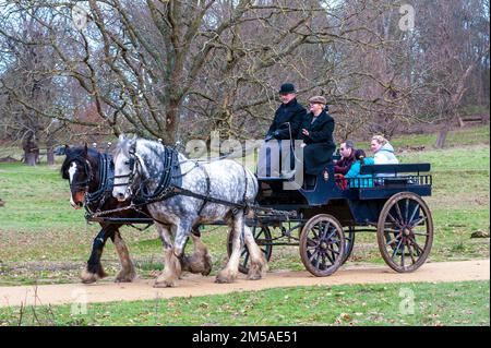 Londres, Royaume-Uni. 22nd décembre 2022. Soleil d'hiver à Richmond Park crédit: JOHNNY ARMSTEAD/Alamy Live News Banque D'Images