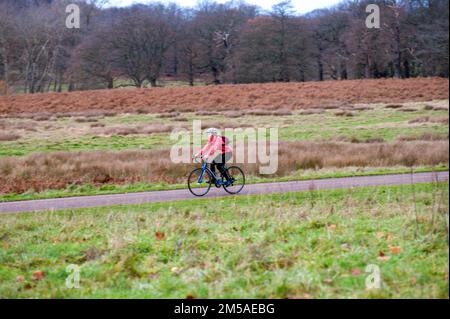 Londres, Royaume-Uni. 22nd décembre 2022. Soleil d'hiver à Richmond Park crédit: JOHNNY ARMSTEAD/Alamy Live News Banque D'Images