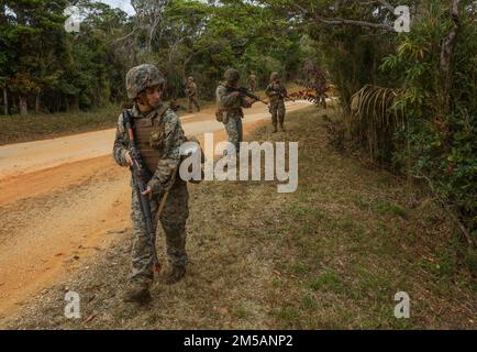 ÉTATS-UNIS Marines avec combat Logistics Company Alpha, combat Logistics Battalion 3, combat Logistics Regiment 3, assure la sécurité lors de la patrouille de la zone d'atterrissage Dodo pendant l'exercice Jungle Warfare 22, 16 février 2022, Okinawa, Japon. JWX est un exercice de formation sur le terrain à grande échelle axé sur l'exploitation des capacités intégrées des partenaires conjoints et alliés pour renforcer la sensibilisation, la manœuvre et les incendies de tous les domaines dans un environnement maritime distribué. Le CTC-A est déployé dans l'Indo-Pacifique sous le bataillon de logistique de combat 4. Banque D'Images