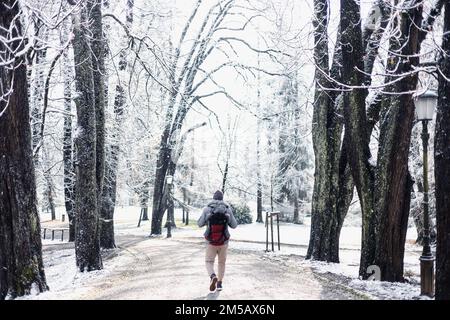 Vue arrière d'un père sportif portant son bébé, son fils portant une combinaison d'hiver et une casquette dans un sac à dos, marchant dans le parc de la ville en hiver. Banque D'Images