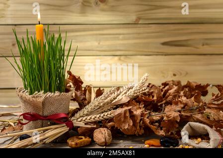 Yule log ou badnjak, pomme, céréales, fruits secs et une bougie en feu de blé vert sur une table en bois.Concept célébration orthodoxe Noël. Banque D'Images