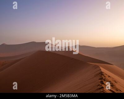 Vue depuis la Dune 45 au parc national de Sesriem désert de Sossousvlei en Namibie au coucher du soleil Banque D'Images