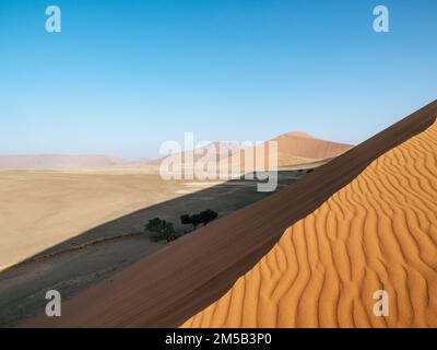 Vue depuis la Dune 45 au parc national de Sesriem désert de Sossousvlei en Namibie au coucher du soleil Banque D'Images