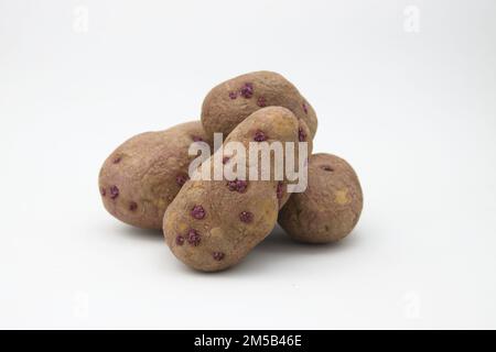 Gros plan d'un groupe de vieilles pommes de terre avec des pousses actives isolées sur fond blanc Banque D'Images